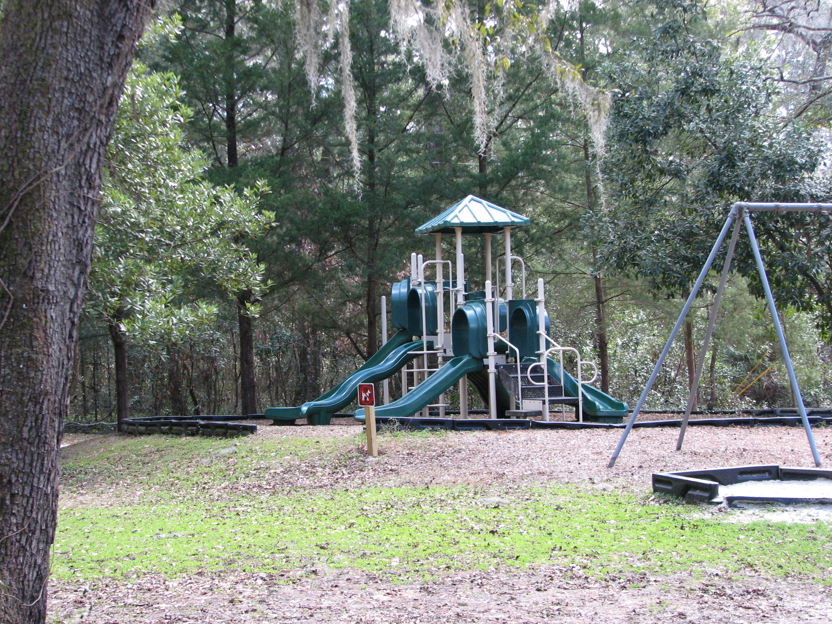 The playground is just one of the many activities at Fanning Springs Park.