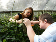 The Greathouse Butterfly Farm was a popular mentor location in Area 3