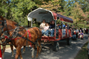 Sunland's horse-drawn wagon is always a people pleaser at the center's annual Fall Festival