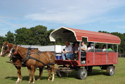 Sunland residents ride the center's horse-drawn wagon in the annual Bonifay Rodeo Trail Ride